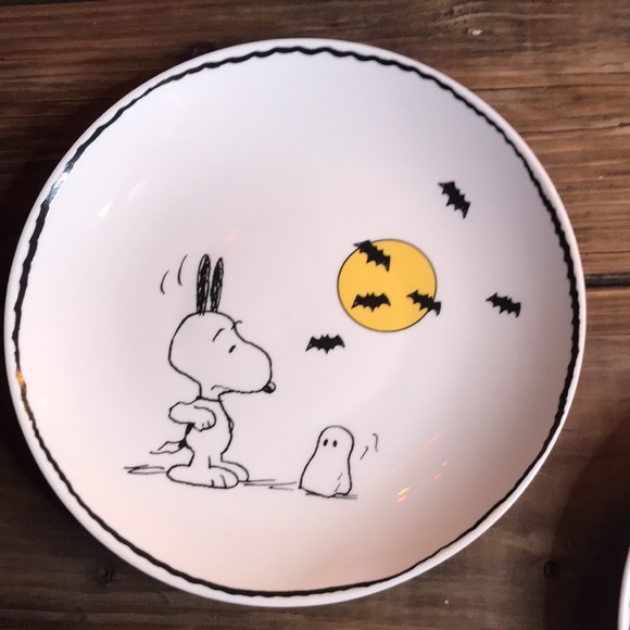Pottery Barn Peanuts Trick or Treat Charlie Brown Halloween Salad Plates - 4 🎃 - Picture 8 of 16